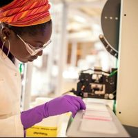 Calquence, medicamento contra el cáncer, puede ayudar a pacientes con covid-19