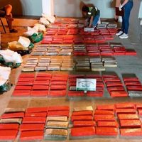 Secuestraron en Córdoba, media tonelada de marihuana en dos vehículos