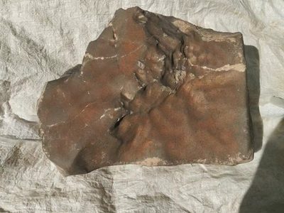 El mayor meteorito de Marte en la Tierra sale a subasta