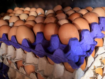 Linda y útil: con el maple de huevos que ibas a tirar, hacé la bandeja más chic para tu cocina