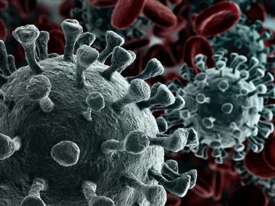 Variante Omicron: qué se sabe hasta ahora y cómo los países ricos podrían haberla evitado