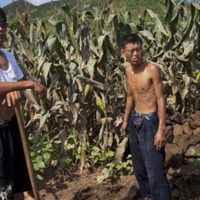 Norcorea pide a su gente comer menos hasta reabrir la frontera con China… en 2025