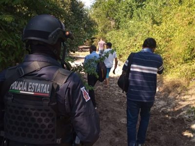 Reportan un león suelto en los alrededores de Culiacán