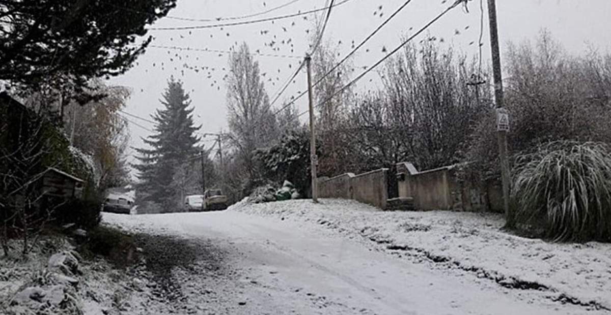 Ventoso y con nevadas. Fuente: (Twitter)