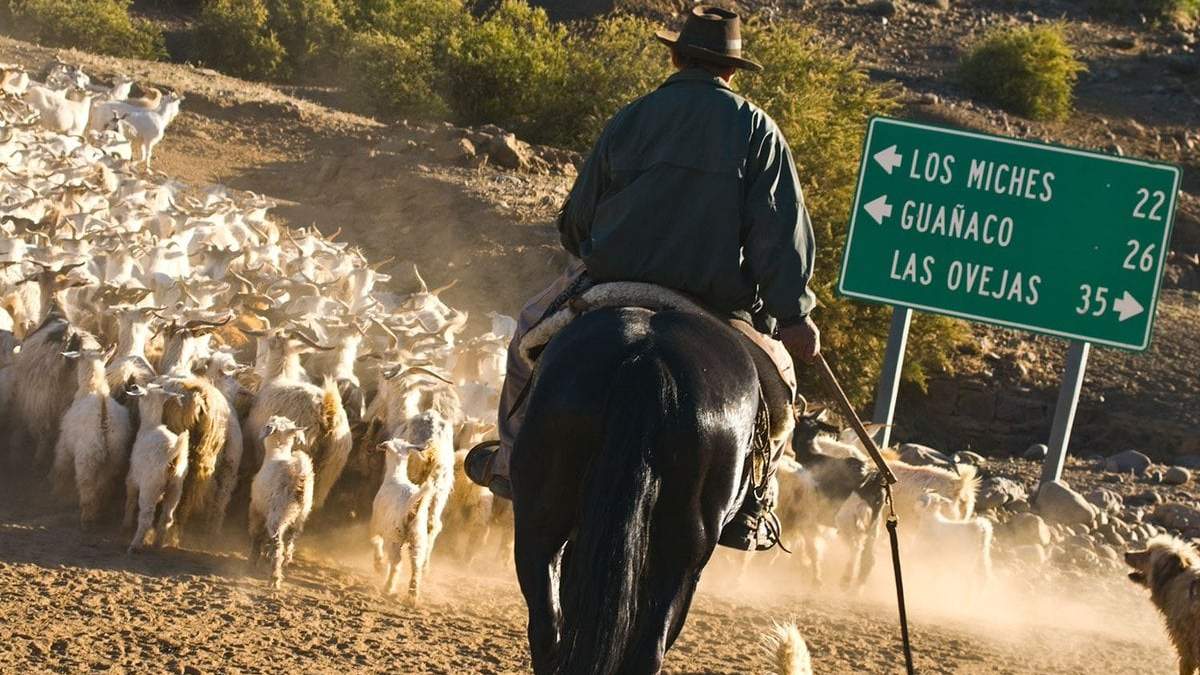 Crianceros trashumantes podrán circular. Fuente: (Twitter)