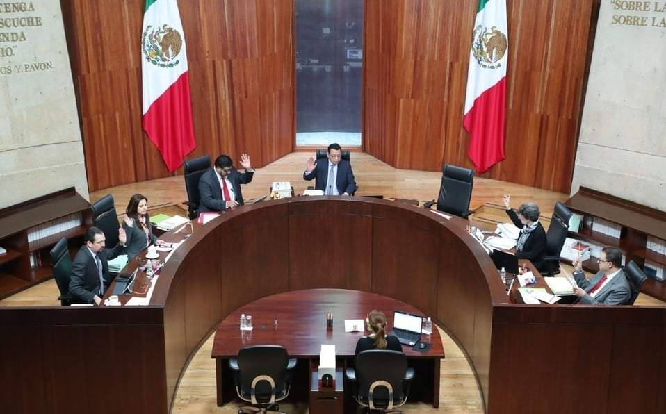 El Tribunal Electoral.