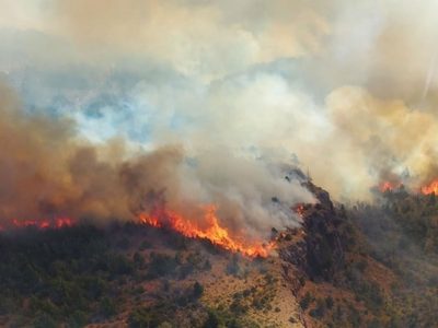 Persiste el fuego en los Alerces:  más de 400 brigadistas combaten las llamas