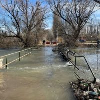 Adjudican obra clave para un puente definitivo en Centenario