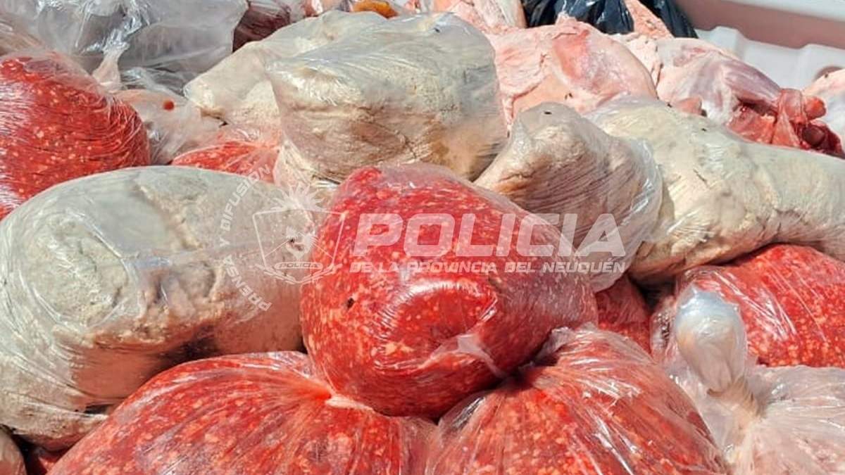 El cargamento de carne no tenía sistema de frío. Fuente (Policía de Neuquén)