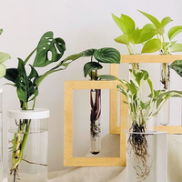 No tires los frascos de vidrio: así podés hacer estos hidroterrarios para tus plantas de interior