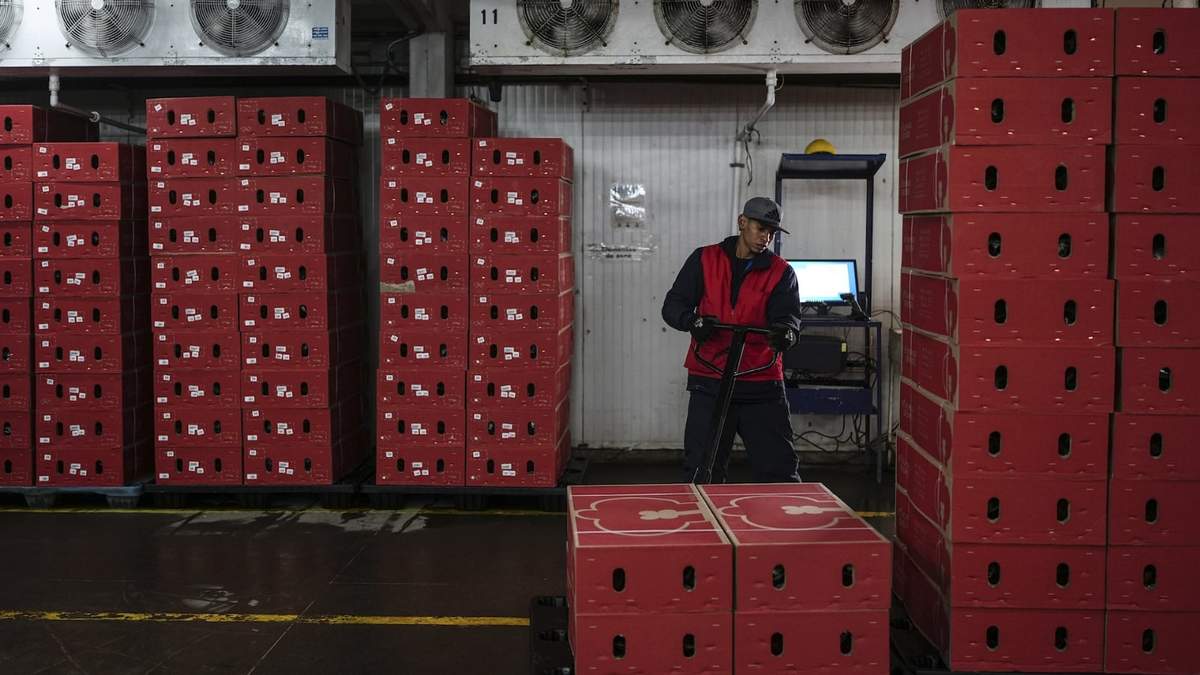 Un trabajador organiza cajas de flores para exportación a Estados Unidos