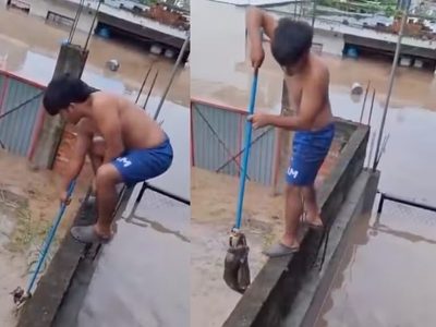 Niño salva a un gato de las inundaciones en Poza Rica, Veracruz (Video)