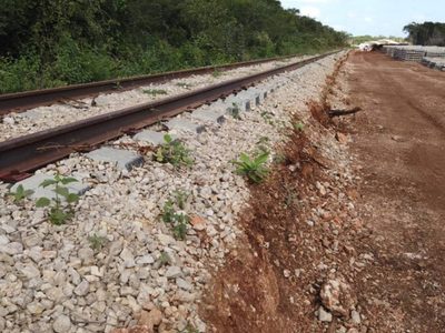 Hay 25 amparos que buscan frenar la construcción del Tren Maya: Fonatur