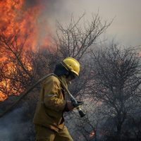 Cómo está la situación de los incendios forestales en Río Negro, Corrientes y Misiones
