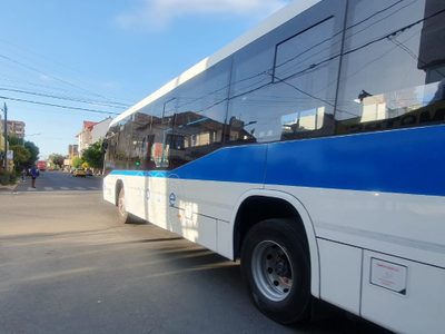 Se podrá viajar en colectivo gratis durante la Fiesta Nacional de la Confluencia 2023