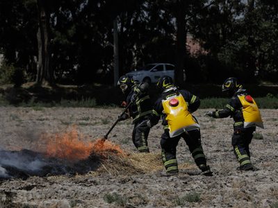 Alertan por vientos intensos este martes; riesgo de propagación de incendios en ocho entidades