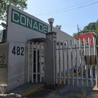 Entrenadores deportivos: el abuso tiene permiso