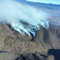 Gobierno de Oaxaca anuncia “plan emergente” tras incendio forestal que dejó cinco muertos