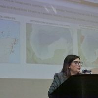 Exploran coexistencia entre arrecifes artificiales y extracción de hidrocarburos