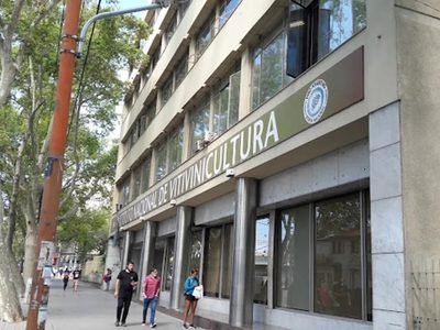 Cambios en el INV: la posición de la vitivinicultura argentina