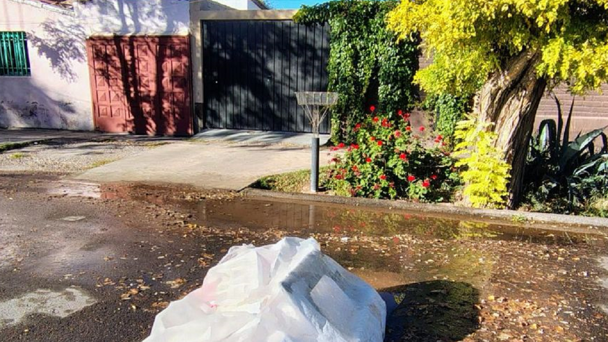 La pérdida de agua de cada día.