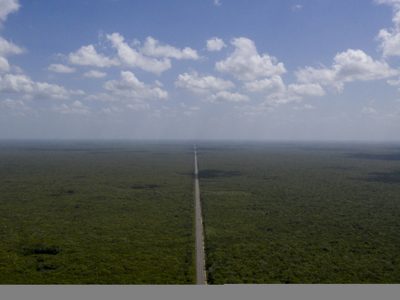 Adjudican a la Sedena parte del tramo 5 del Tren Maya disputado por 10 consorcios