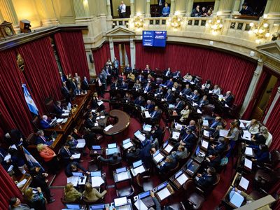 El Senado debatirá el proyecto de Góndolas y la designación de la Defensora del niño
