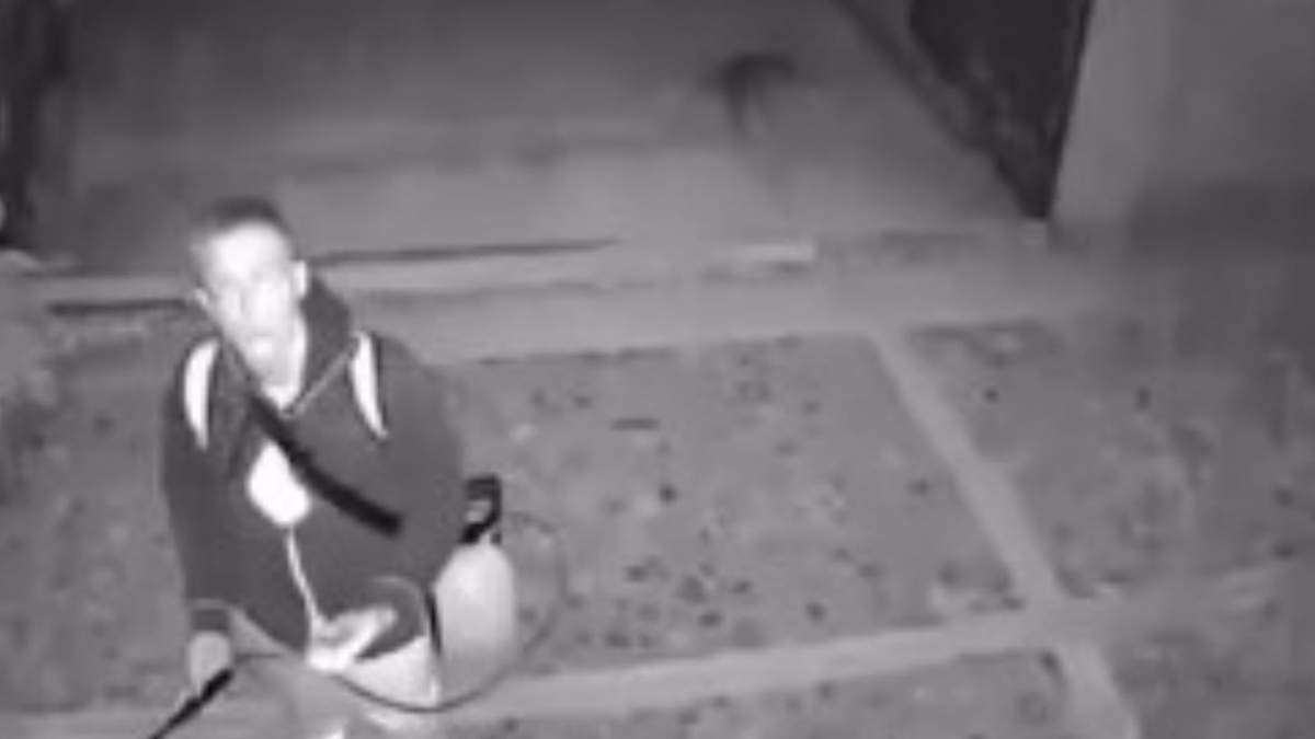Captura de video donde se observa al presunto agresor arrojando ácido a los perros.