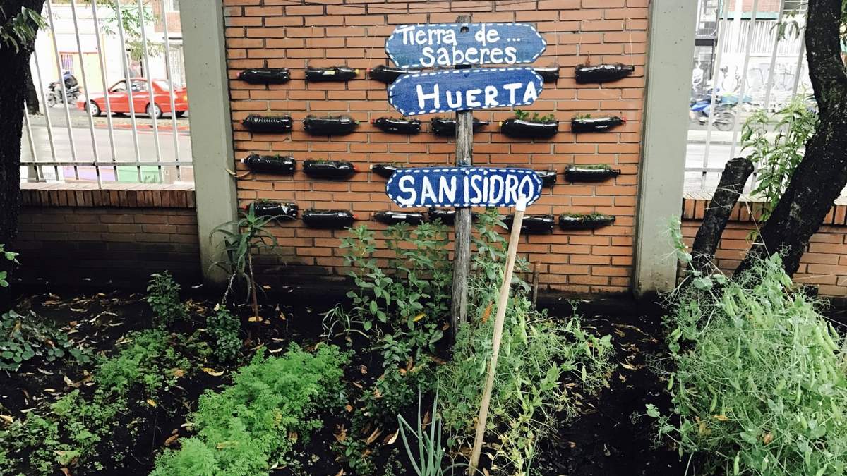 Una huerta para tiempos de aislamiento. Fuente: (Twitter)
