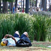 Hoy no, mañana: el desobediente hábito de procrastinar