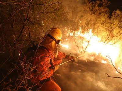 Impresionante: así se ve el fuego que consume el Delta del Paraná desde adentro