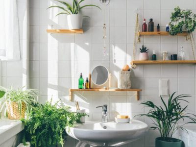 5 plantas hermosas y de moda, ideales para poner en el baño