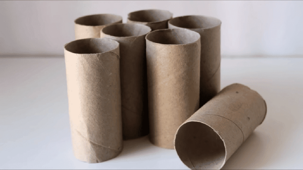 Rollos de papel higiénico. Fuente: (X)