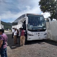 Suman 168 migrantes asegurados en territorio veracruzano en últimos tres días