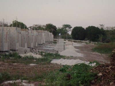 Libros antes que ladrillos: el pueblo maya que rechaza casas de Bienestar por una escuela