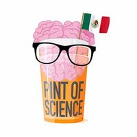 Una experiencia, el festival 'Pint of Science México”
