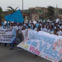 Entregarán a diputados 160 mil firmas contra la despenalización del aborto