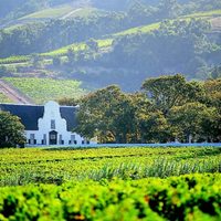 Ciudad del Cabo se suma a la lista de las Capitales del vino