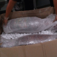 Simulan yeso para traficar droga incrustada en jarrones asegurados por la PF en la CDMX