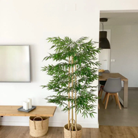 Las 2 plantas que no pueden faltar en tu casa o jardín, según el feng shui, si querés tener un buen 2025