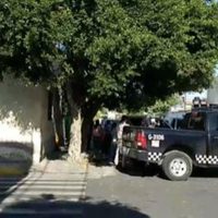 Hallan cuatro cadáveres en finca abandonada en Guadalajara