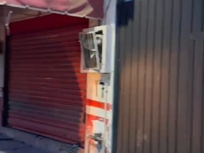 Hombre golpea a un perro en Cuernavaca y provoca su muerte