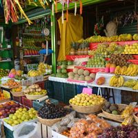 Baja desnutrición en AL, pero se disparan sobrepeso y diabetes: FAO