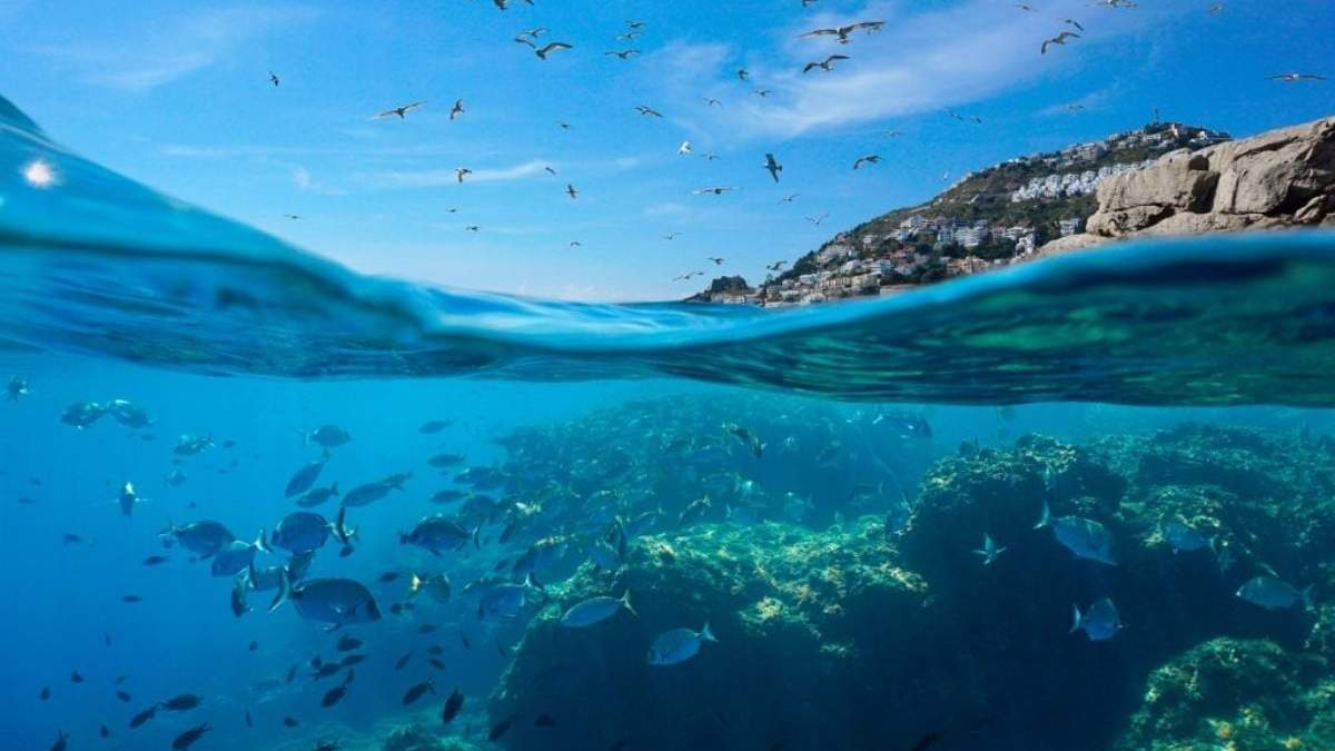 Cuidar la biodiversidad y también el turismo. Fuente: (Instagram)