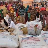 Un año sin USAID: la desprotección atraviesa a refugiados y organizaciones humanitarias