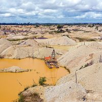 El veneno mexicano que intoxica el Amazonas