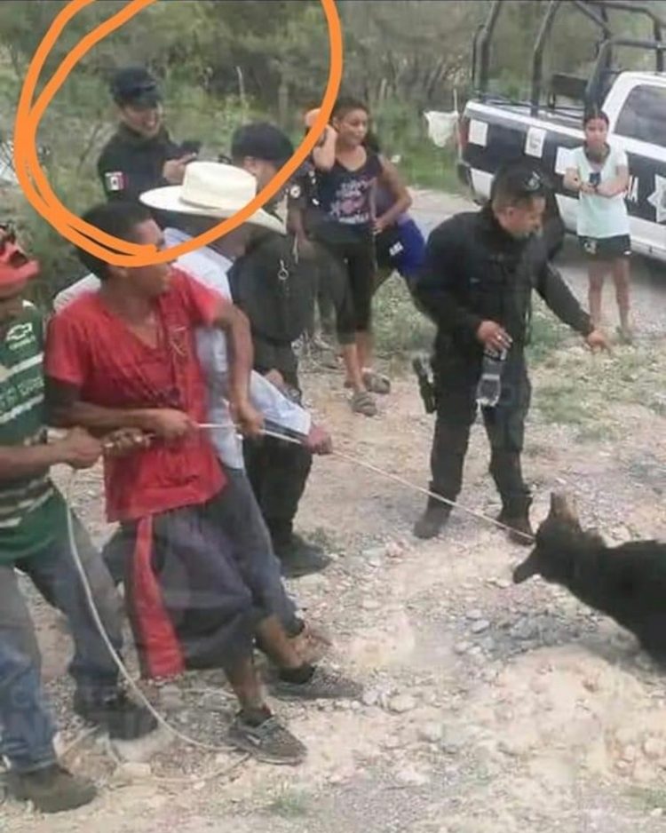 oso-negro-coahuila (1)