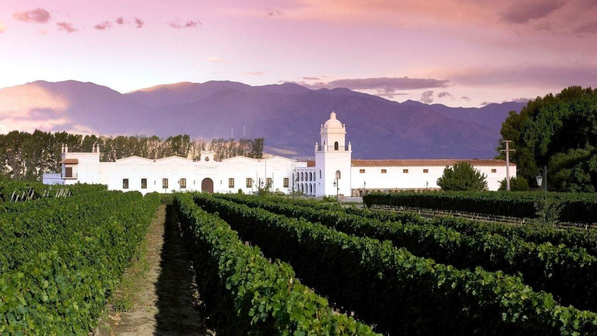 Torrontés de altura, aromas y sabor único. Fuente: (Instagram)