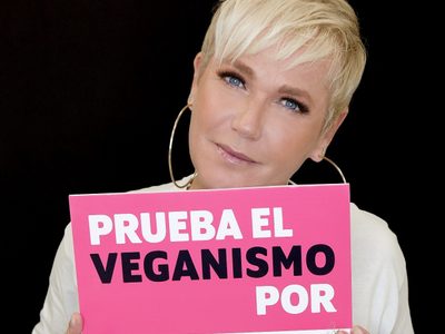 Invitación vegana: Xuxa y Liz Solari proponen no comer carne durante enero