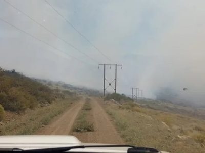 Con gran esfuerzo, Bomberos de Andacollo pudieron evitar un incendio forestal de grandes dimensiones